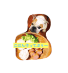 ライフ スタイル（個別スタンプ：11）