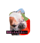 ライフ スタイル（個別スタンプ：12）