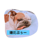 ライフ スタイル（個別スタンプ：14）