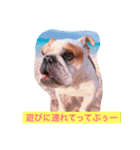 ライフ スタイル（個別スタンプ：15）