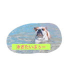 ライフ スタイル（個別スタンプ：16）