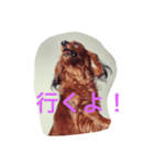 ロワの日常（個別スタンプ：6）