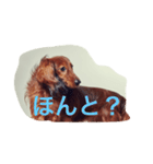 ロワの日常（個別スタンプ：7）