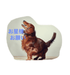 ロワの日常（個別スタンプ：11）