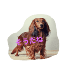 ロワの日常（個別スタンプ：22）
