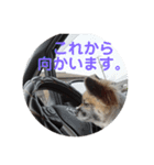 こうめちゃん！（個別スタンプ：1）