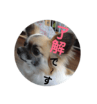 こうめちゃん！（個別スタンプ：5）