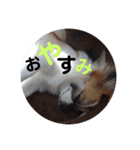 こうめちゃん！（個別スタンプ：9）
