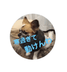 こうめちゃん！（個別スタンプ：16）