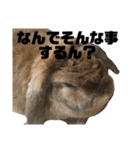 うさぎのアッサム（個別スタンプ：6）