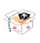 ポメシーニコとおばあ ほのぼのスタンプ（個別スタンプ：30）