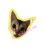 ピグとフク（個別スタンプ：3）