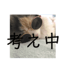 ピグとフク（個別スタンプ：4）
