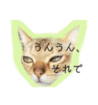 ピグとフク（個別スタンプ：12）