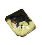 トイプーのくぅちゃん（個別スタンプ：7）