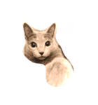 ムーちゃんです（個別スタンプ：1）