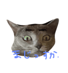 ムーちゃんです（個別スタンプ：3）