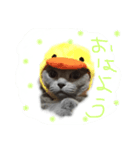 ムーちゃんです（個別スタンプ：7）