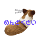 コーギーめるさんの一言（個別スタンプ：24）