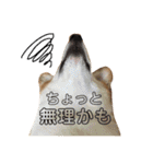 コーギーめるさんの一言（個別スタンプ：27）