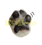 コーギーめるさんの一言（個別スタンプ：28）
