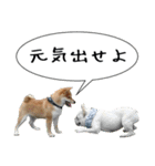 豆柴くんスタンプ（個別スタンプ：38）