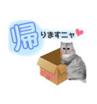 ミヌエットのmimi（個別スタンプ：18）
