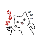 手描き風 しろいねこ（個別スタンプ：15）