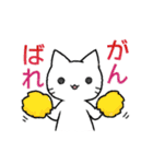 手描き風 しろいねこ（個別スタンプ：20）