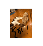 ぶん＆じん2（個別スタンプ：3）