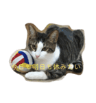 ねこのデニーロ（個別スタンプ：6）