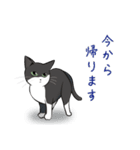 吟と忍 姉妹猫スタンプ Ver1（個別スタンプ：17）
