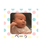 我が家のお坊っちゃん（個別スタンプ：12）