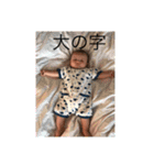 我が家のお坊っちゃん（個別スタンプ：23）