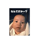 我が家のお坊っちゃん（個別スタンプ：28）