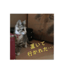 ウチのラブたん（個別スタンプ：4）