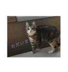 ウチのラブたん（個別スタンプ：10）