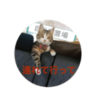 ウチのラブたん（個別スタンプ：22）