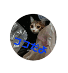 ウチのラブたん（個別スタンプ：23）