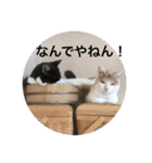 ニャンズースタンプ（個別スタンプ：14）