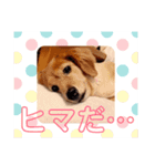 花梨と仲間たち（個別スタンプ：3）