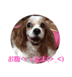 花梨と仲間たち（個別スタンプ：6）