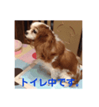 花梨と仲間たち（個別スタンプ：7）