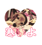 花梨と仲間たち（個別スタンプ：9）