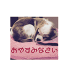 花梨と仲間たち（個別スタンプ：10）