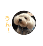 ラムfamily（個別スタンプ：1）