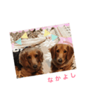 ラムfamily（個別スタンプ：7）