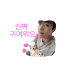 王子から王へTheKing韓国語001（個別スタンプ：23）