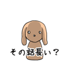 ゆるゆるミニチュアダックスわんこ第2弾（個別スタンプ：37）