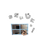 朔と暦と（個別スタンプ：34）
